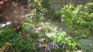 Thumbnail of post image 091
