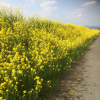 Thumbnail of related posts 028