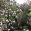 Thumbnail of related posts 124